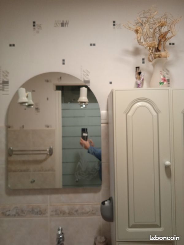 Joli miroir pour salle de bain avec 2 spots 20 Ablaincourt-Pressoir (80)