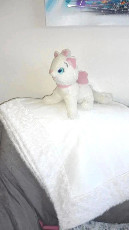 Joli Plaid neuf + Cadeau Peluche 12 Brem-sur-Mer (85)