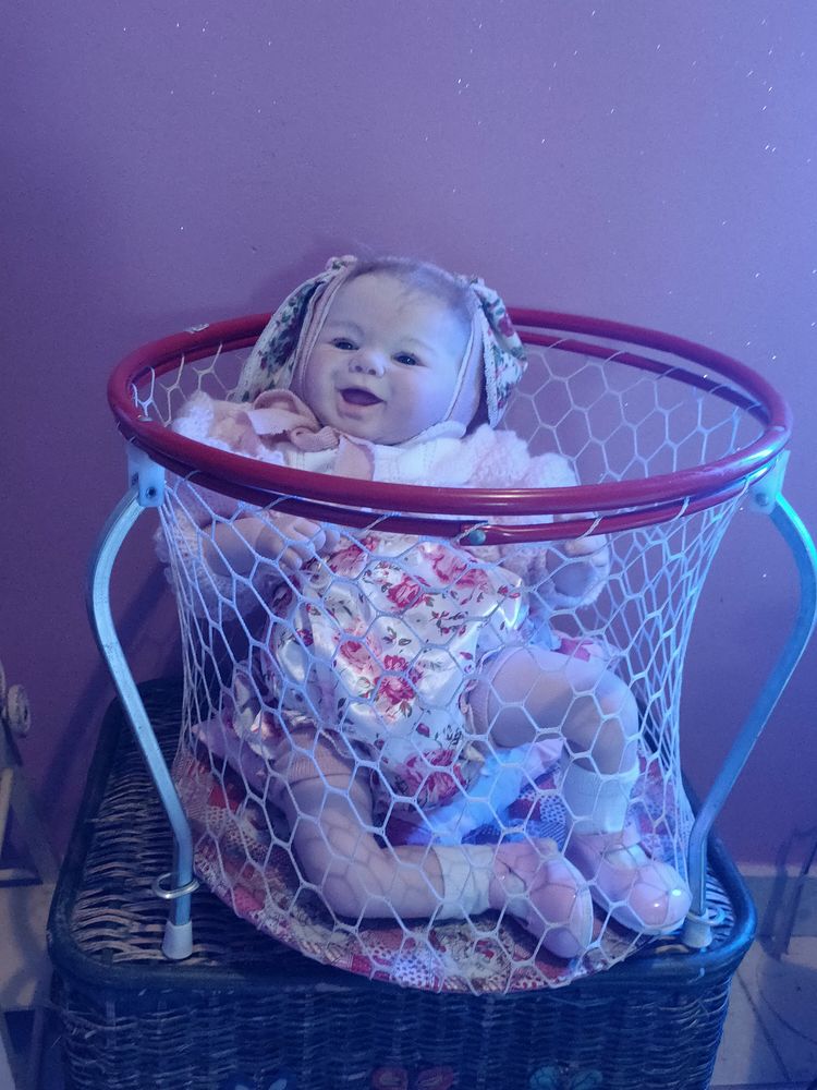 Jolie b�b� reborn 3 mois 225 La Lande-de-Loug� (61)