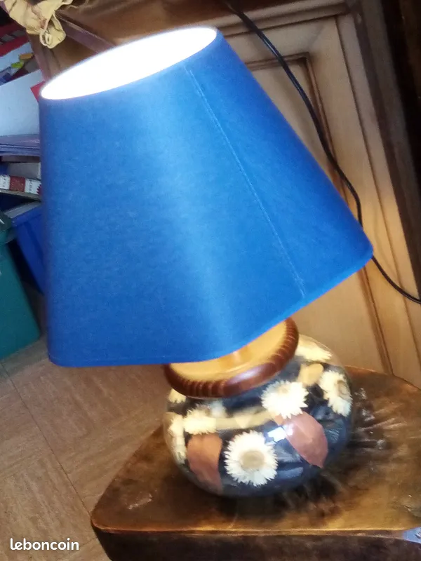 jolie lampe bleue 13 Belfort (90)