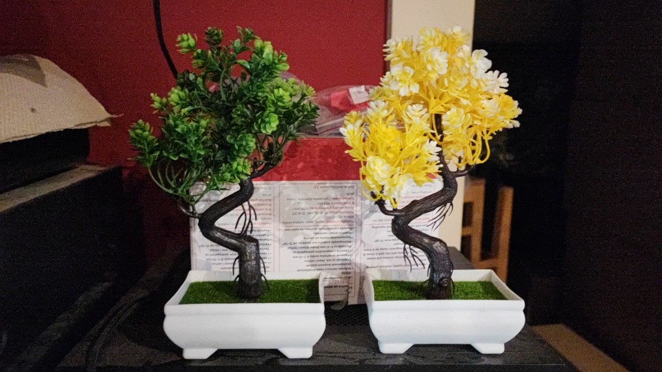 Jolie plante  BANZAI artificiel 6 Mornant (69)