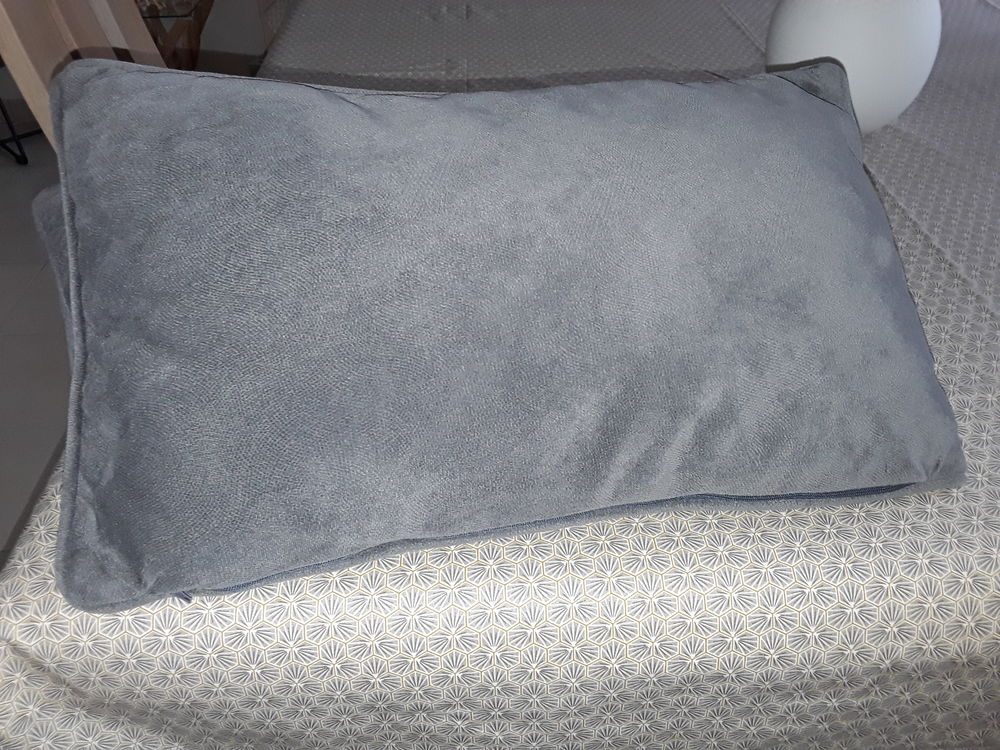 2 jolis coussins tbe 6 Lannion (22)