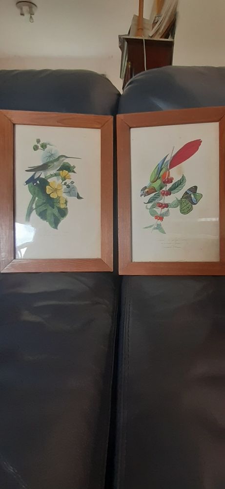 jolis tableaux 20 �zanville (95)