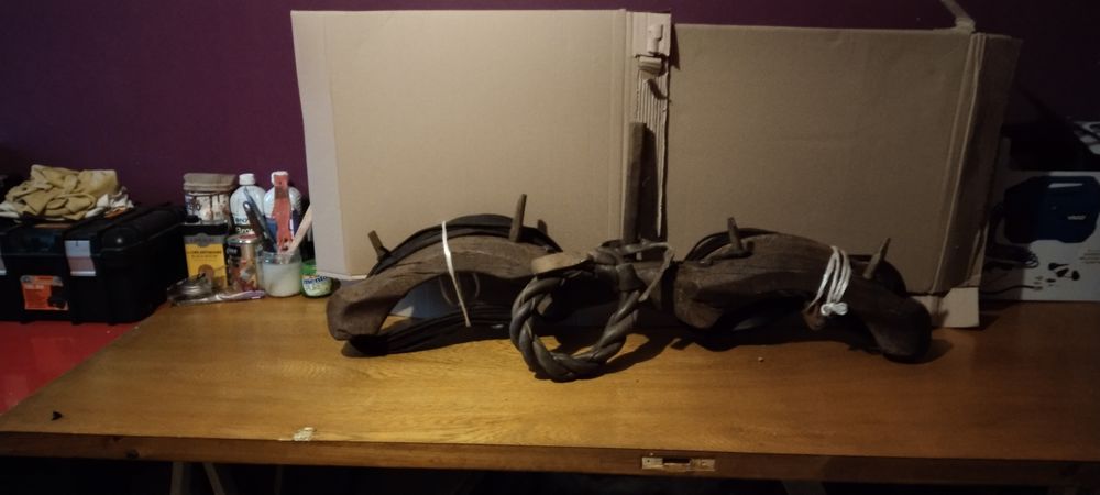 Joue de vache 200 Ally (15)