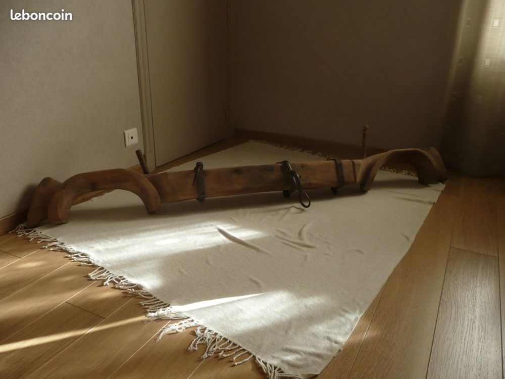 JOUG double Attelage 10 Toulouse (31)