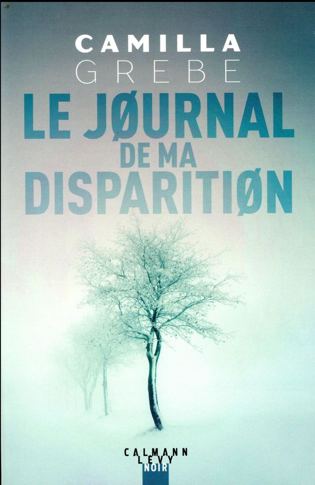 Le journal de ma disparition 11 Rennes (35)