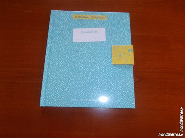 Le journal d'un enfant (45) 3 Tours (37)