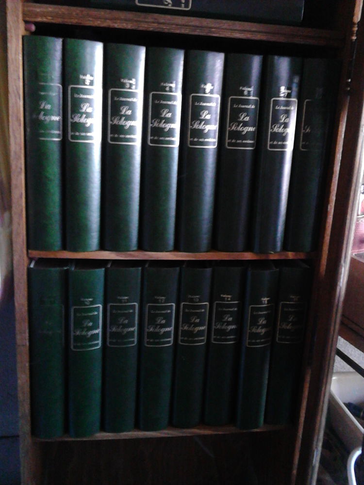 journal de la sologne 130 Salbris (41)