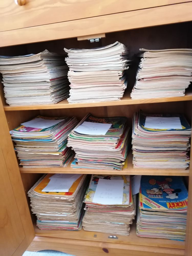  400 Journaux  Mickey 40 Saint-Doulchard (18)