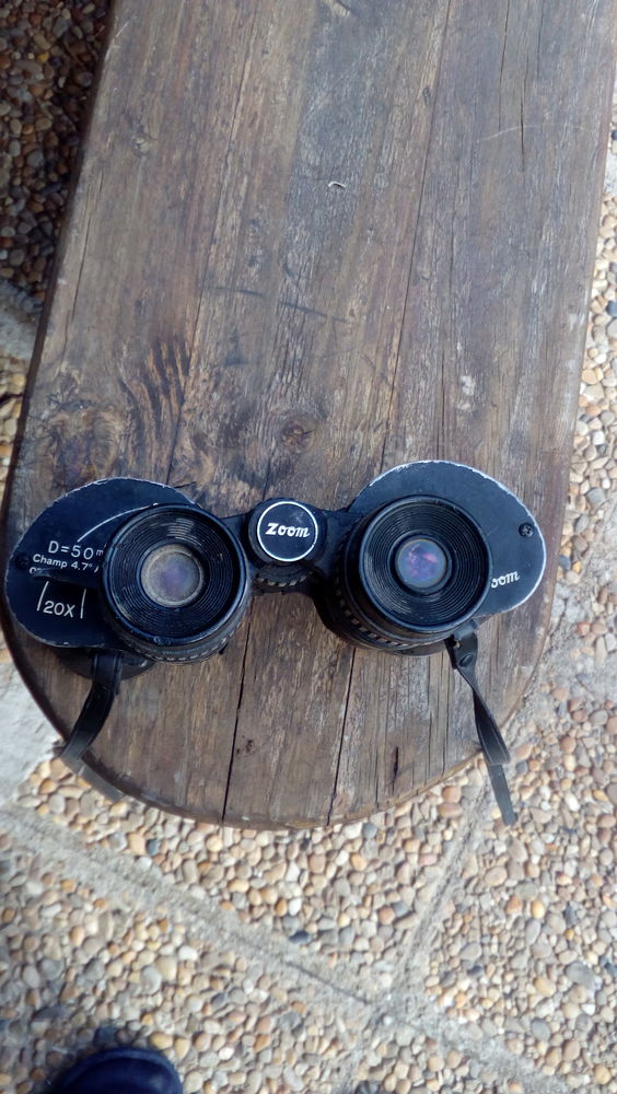 Jumelles anciennes 80 Latour-Bas-Elne (66)