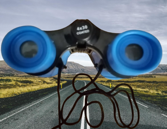 Jumelles neuves 52 Rennes (35)