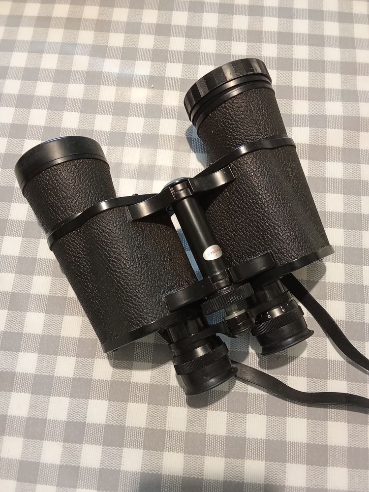 Jumelles 25 Beaupr�au (49)