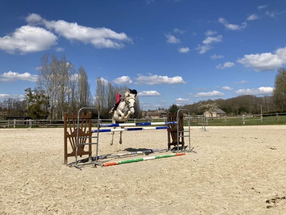 jument de loisirs 2300 Damville (27)