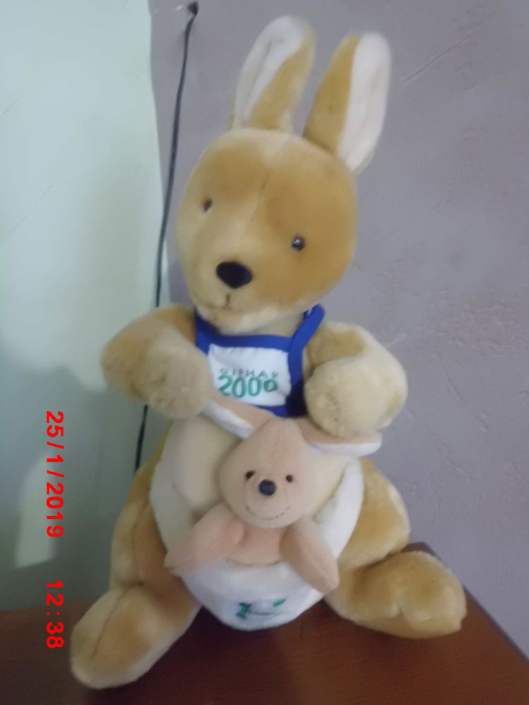 KANGOUROU JEMINI 16 Oignies (62)