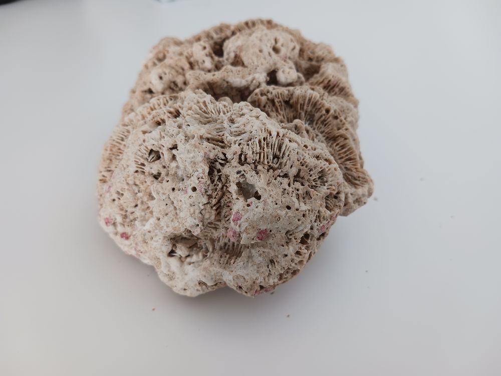 Kaolinite necker 0 Sainte-Marie (97)