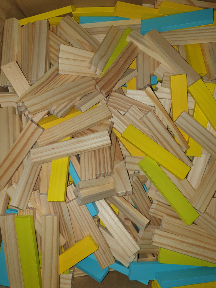 KAPLA 10 Foug�res (35)