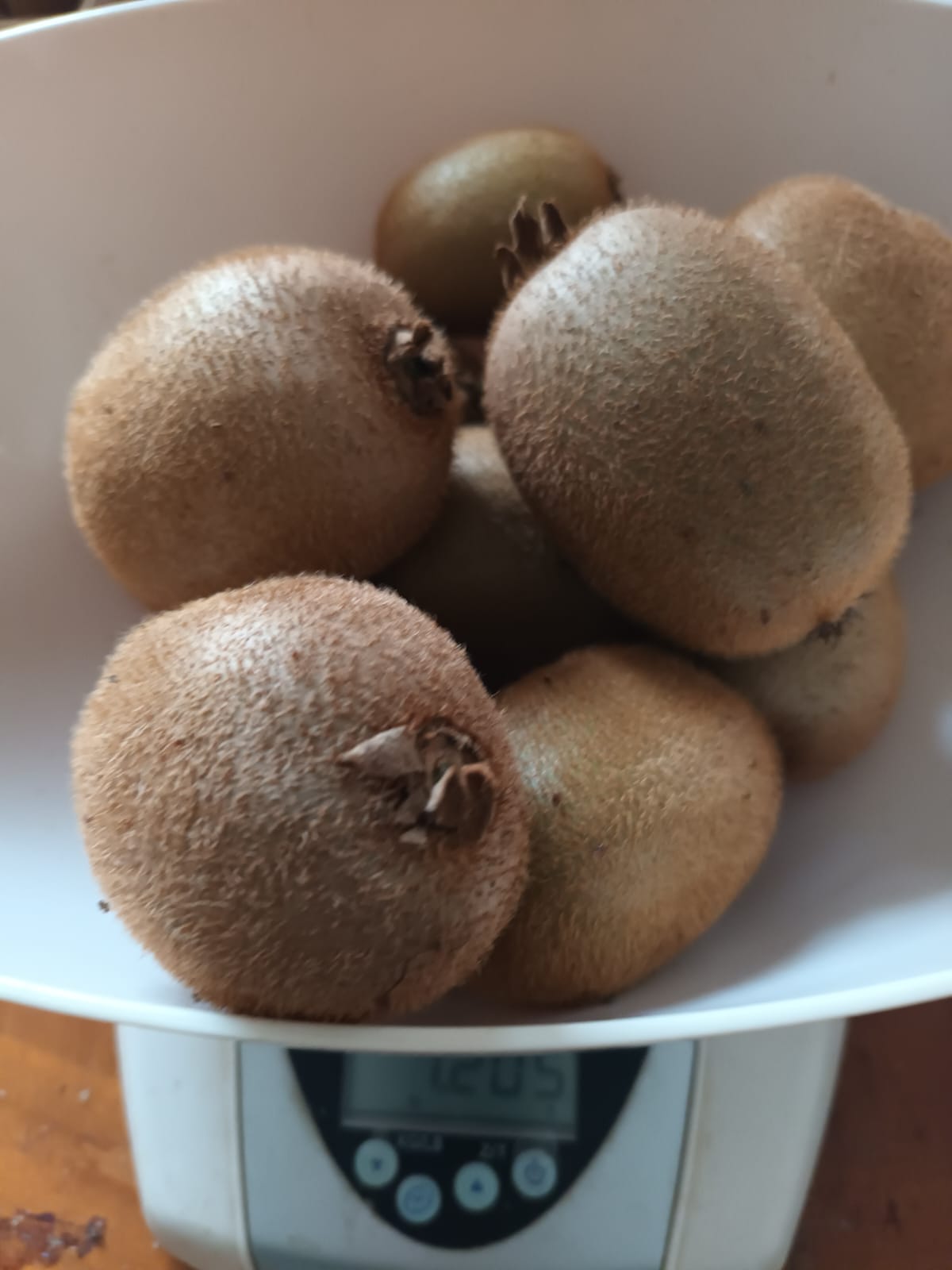 KIWI BIO 5 Ch�teauneuf-sur-Charente (16)