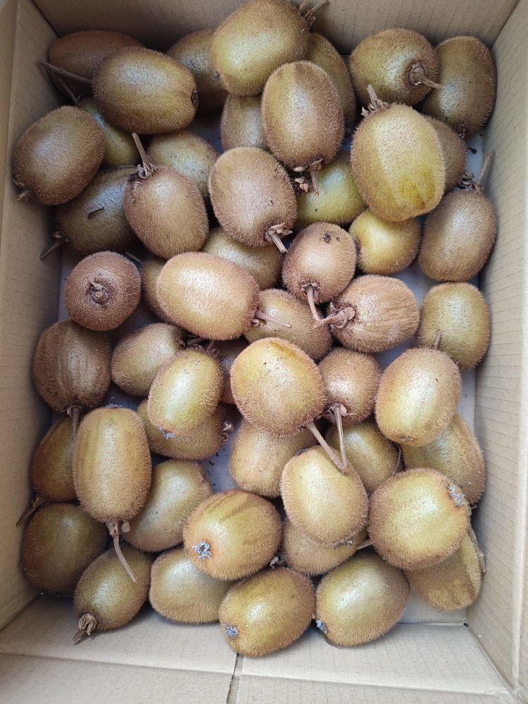 kiwis naturels 2.5 Vizille (38)