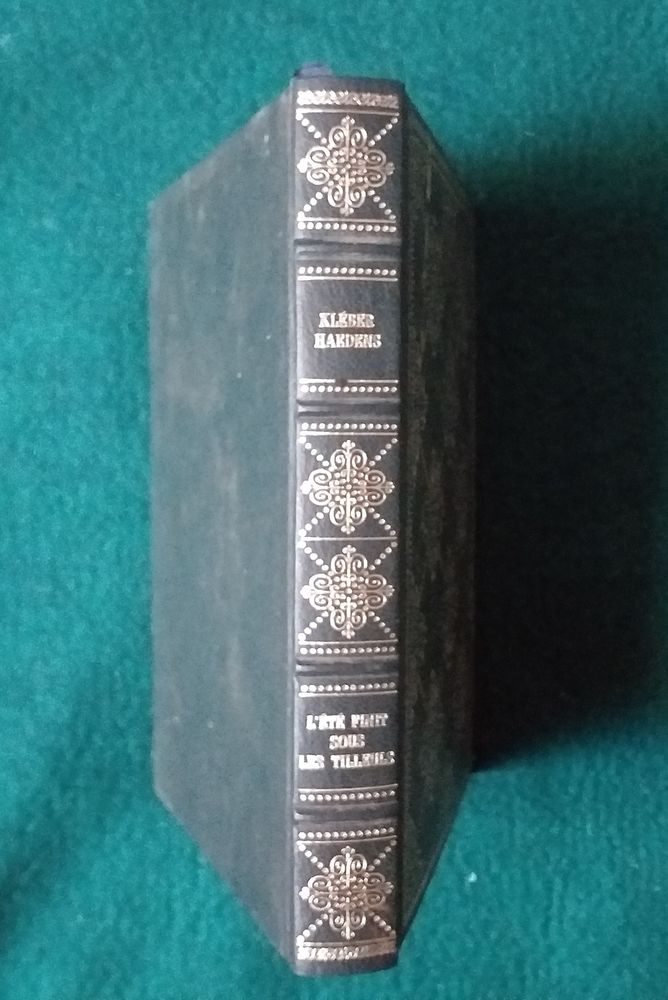  Kl�ber HAEDENS : l'�t� finit sous les tilleuls 5 Montauban (82)