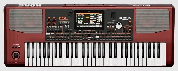KORG PA 1000 professionnal arrangeur Version 2024
1600 La R�union (97)