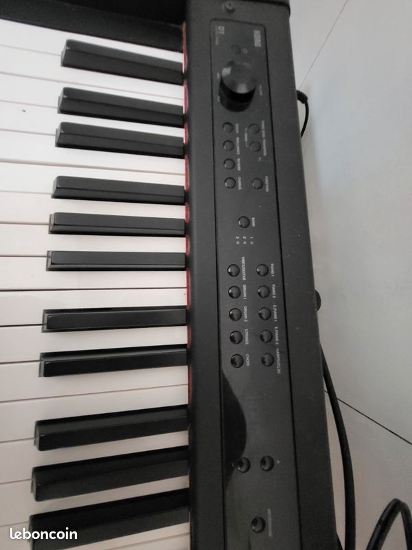 KORG D1 390 Pins-Justaret (31)