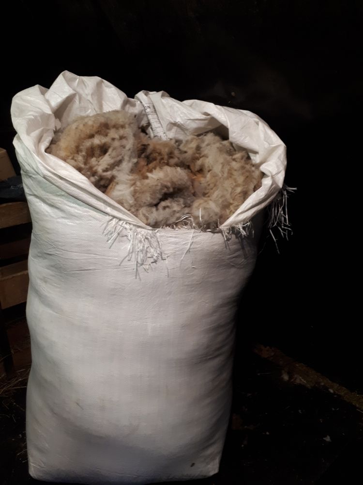 laine de brebis 30 Saint-Germain-la-Chambotte (73)