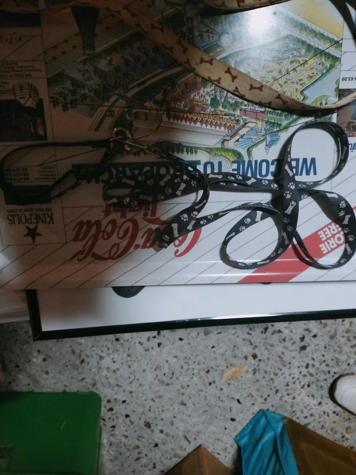 laisse a chien
3 Calais (62)