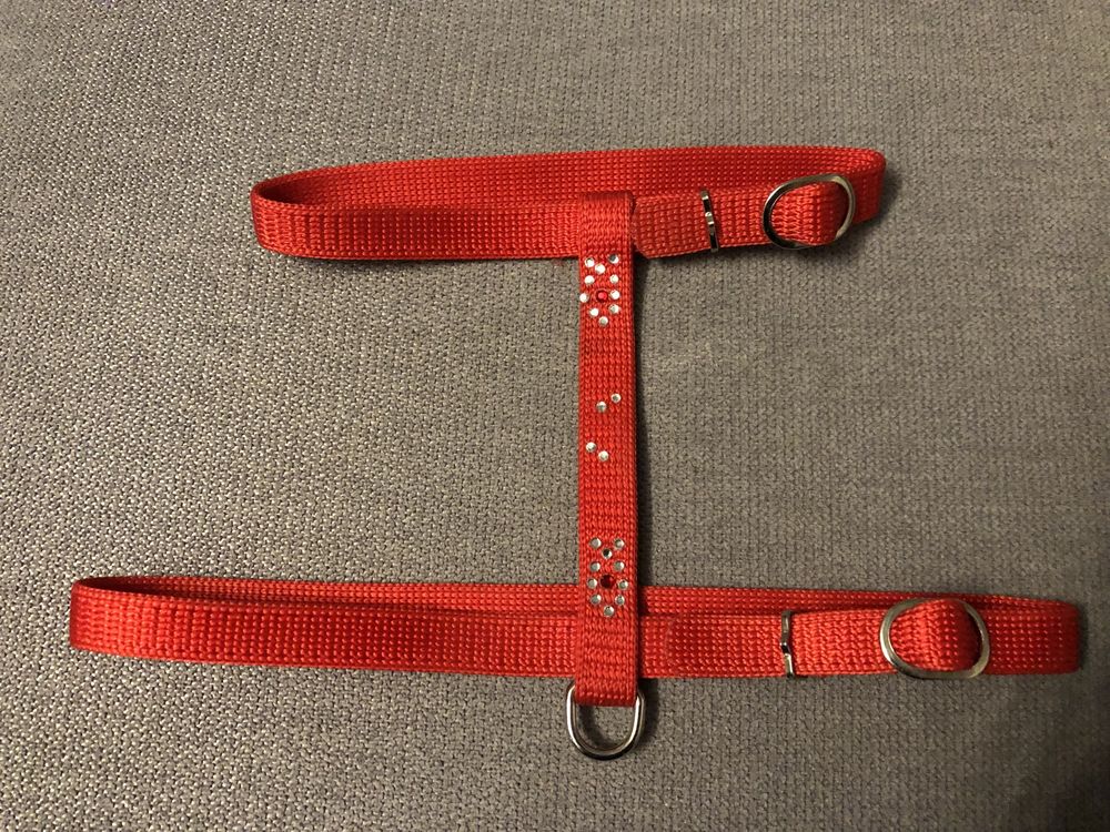 laisse et harnais pour chat NEUFS 10 Les Brouzils (85)