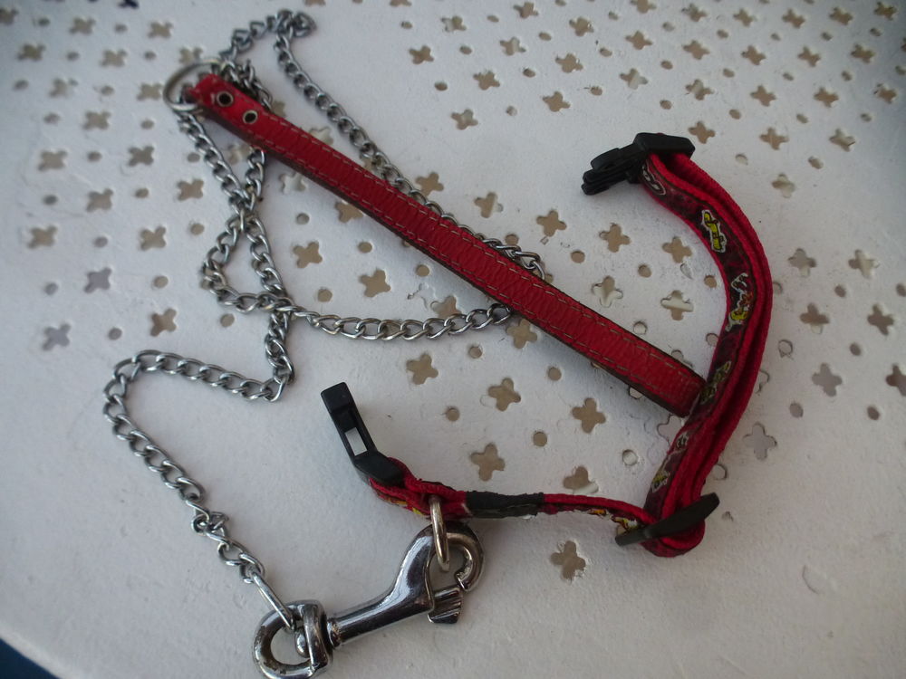 LAISSE POUR ANIMAL r�glable 15 Aix-en-Provence (13)