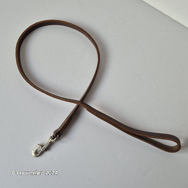 Laisse pour chien en cuir �pais de qualit� premium , fabriqu 10 Saumur (49)