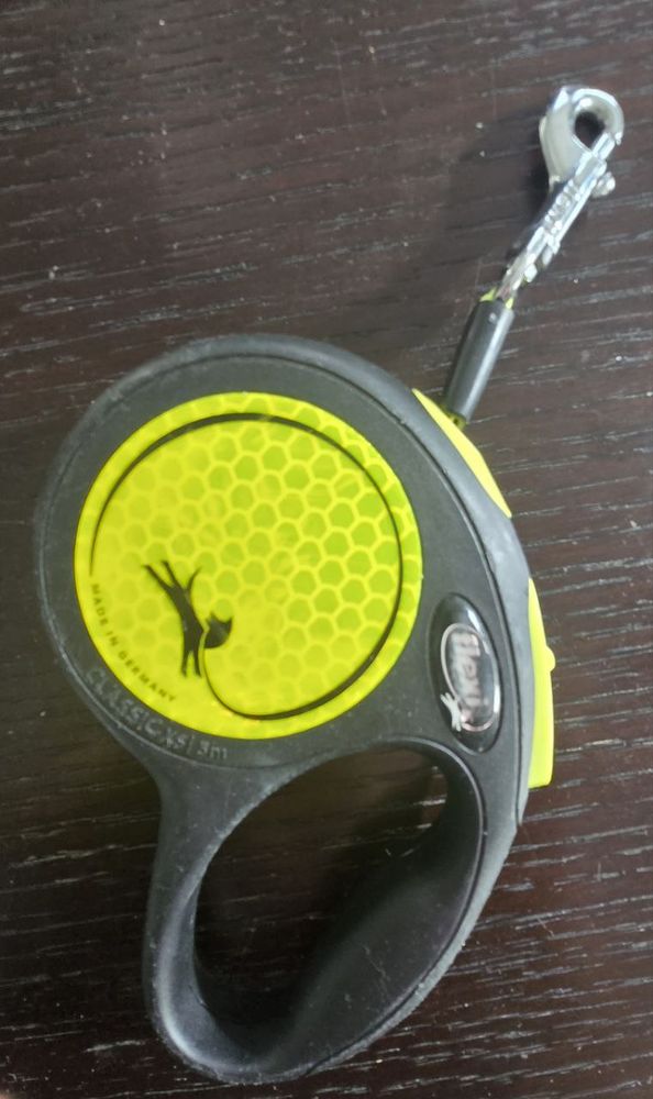 Laisse r�tractable Flexi - 3 m 4 Thouar�-sur-Loire (44)