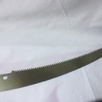 Lame de rechange pour scie perche  35 cm 15 Saint-Denis-en-Val (45)