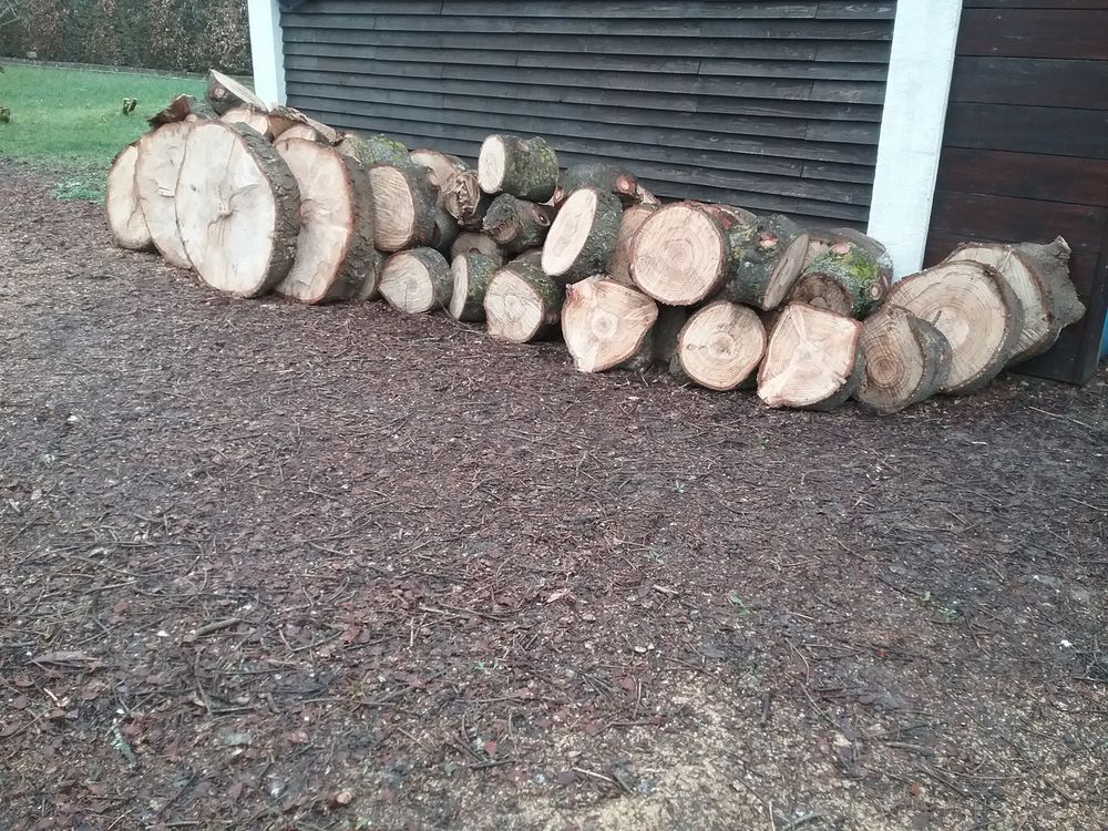 Lamelles de bois en sapin 8 Cosne-Cours-sur-Loire (58)