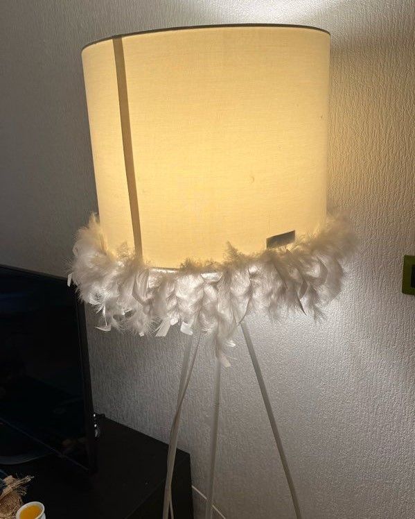 Lampadaire de couleur blanche 10 Paris 11 (75)