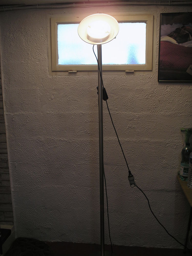 LAMPADAIRE HALOGENE REVISE 15 Le Tremblay-sur-Mauldre (78)