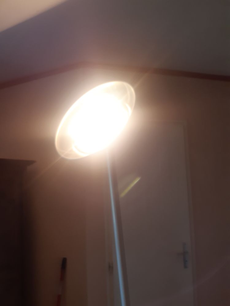 Lampadaire HALOGENE 12 Le Cellier (44)