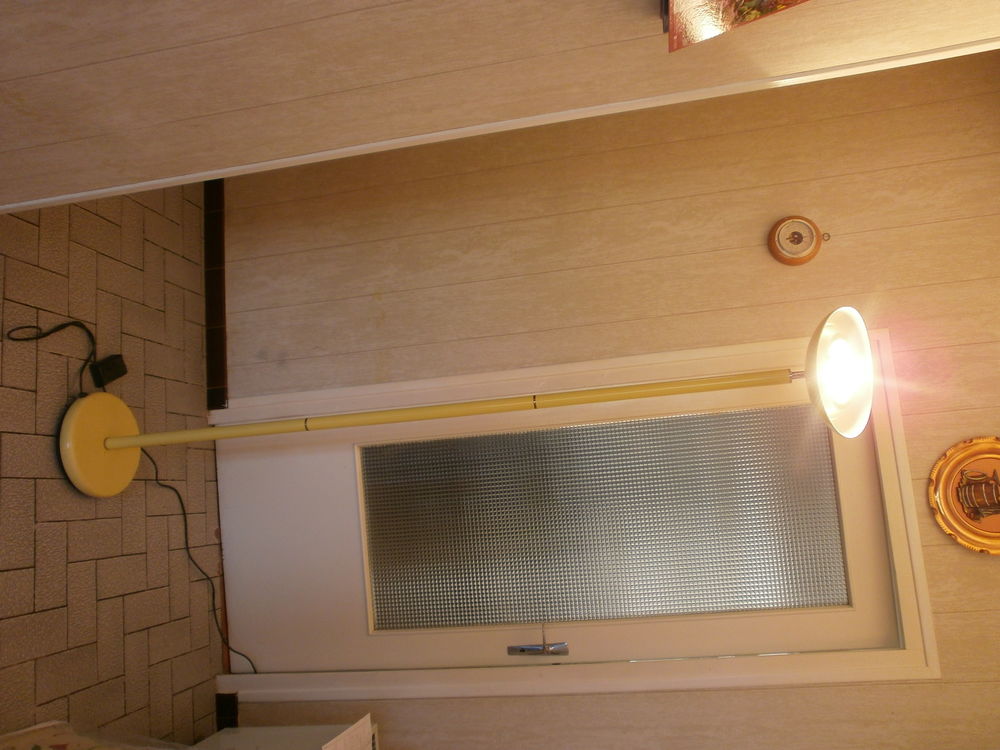 Lampadaire Halogene TBE  H 1.90 M 10 Tug�ras-Saint-Maurice (17)