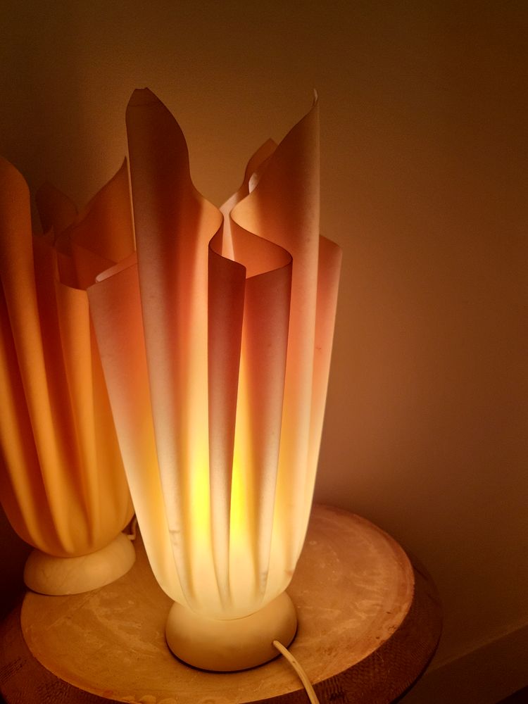 Lampe 1960/70 Georgia Jacob
OPHELIE
EXCELLENT ETAT 110 Paris 15 (75)