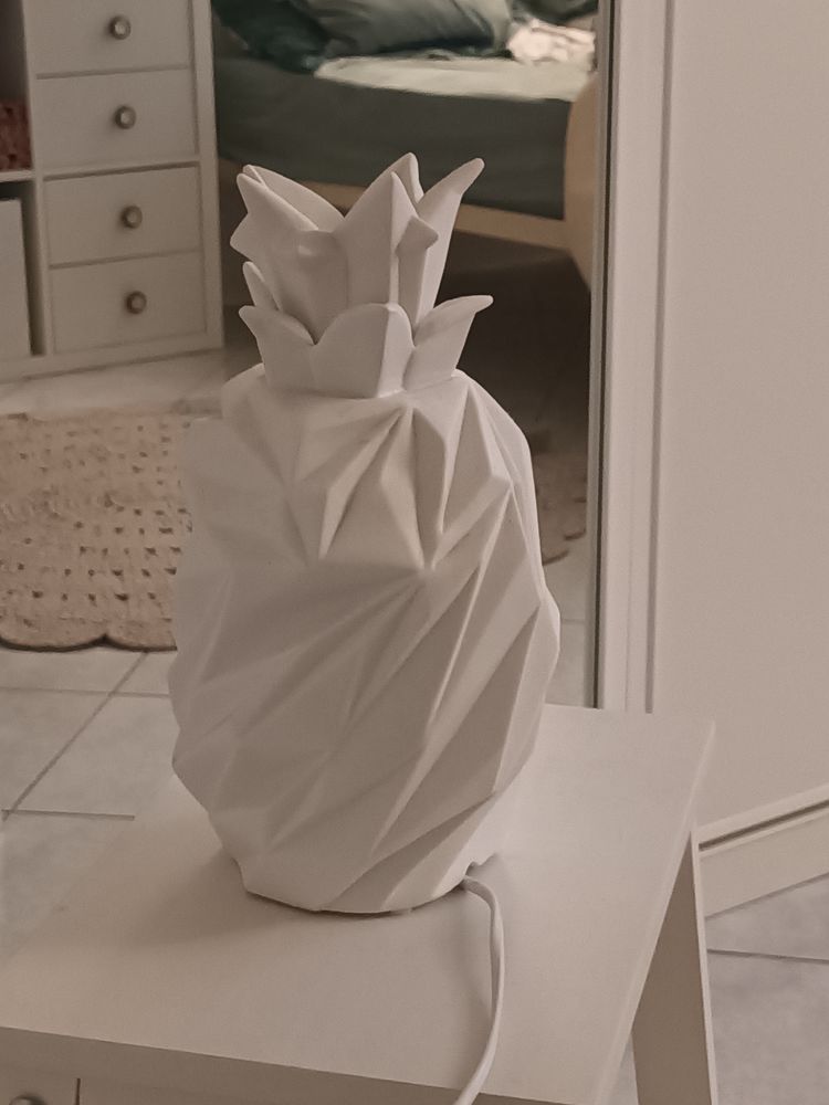 Lampe ananas 30 Bastia (20)