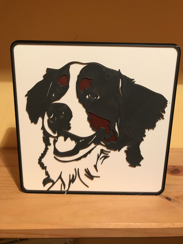 Lampe BOUVIER BERNOIS �clairage leds � piles 25 Le Puy-en-Velay (43)