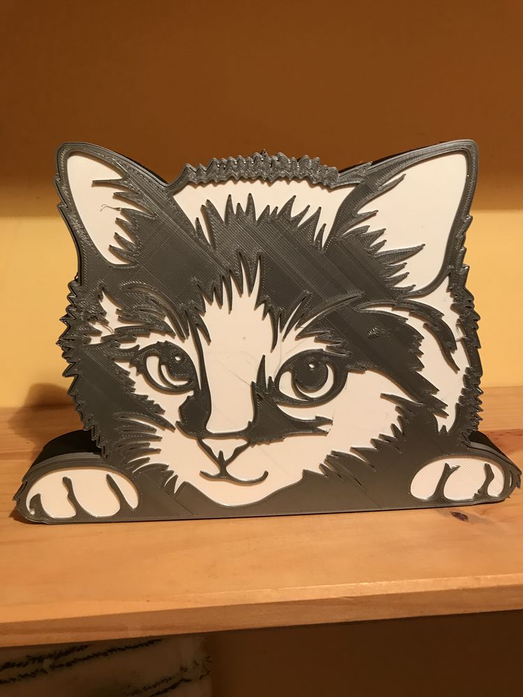 Lampe CHATON �clairage leds � piles 29 Vorey (43)