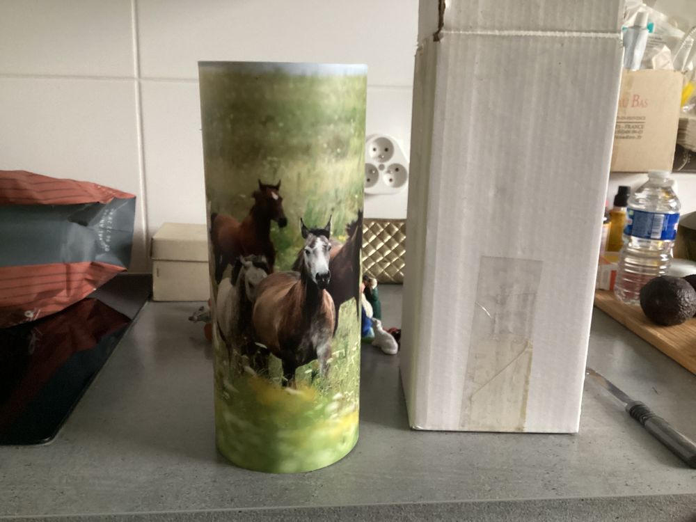 LAMPE DE CHEVET chevaux ,rare et totalement neuve 28 Vaucresson (92)