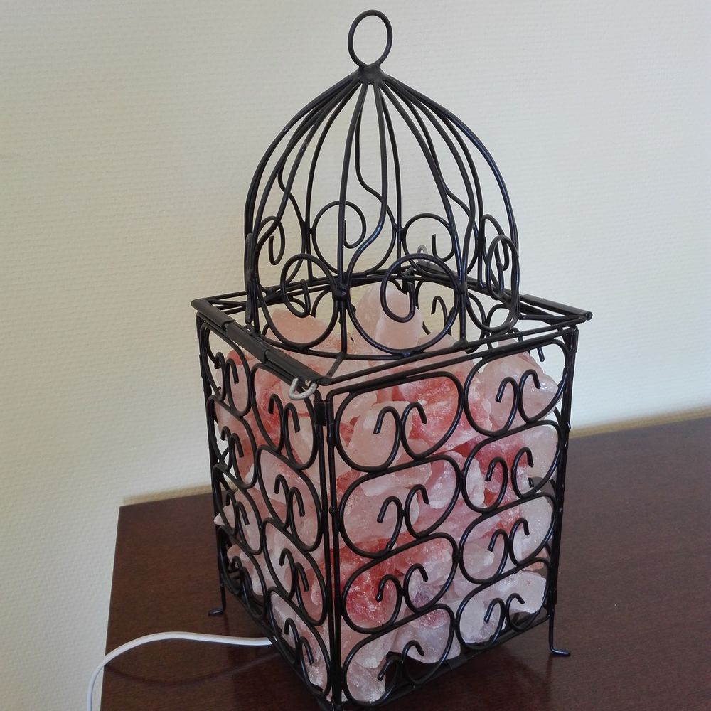 LAMPE DE SEL CRISTAUX ROSES DE L'HIMALAYA ARMATURE FER FORGE 30 Lyon 8 (69)