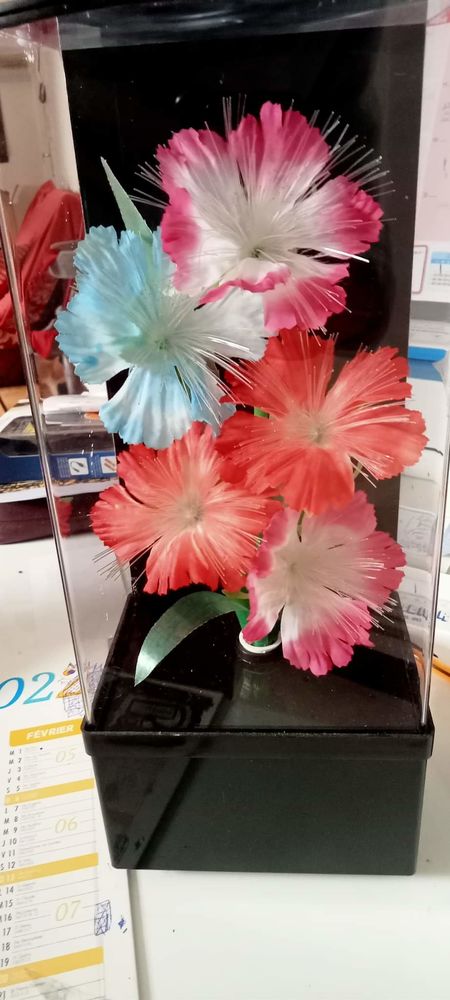 Lampe d�corative 7 Arras (62)