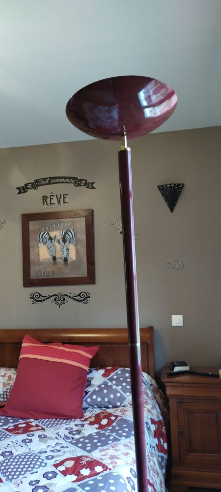 lampe halog�ne 5 Sainte-Maure-de-Touraine (37)