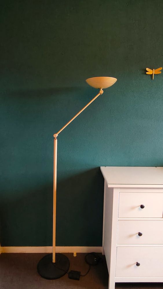 lampe halog�ne 10 Ayguesvives (31)