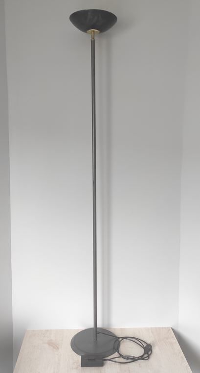 Lampe halog�ne 181 cm 10 Metz (57)