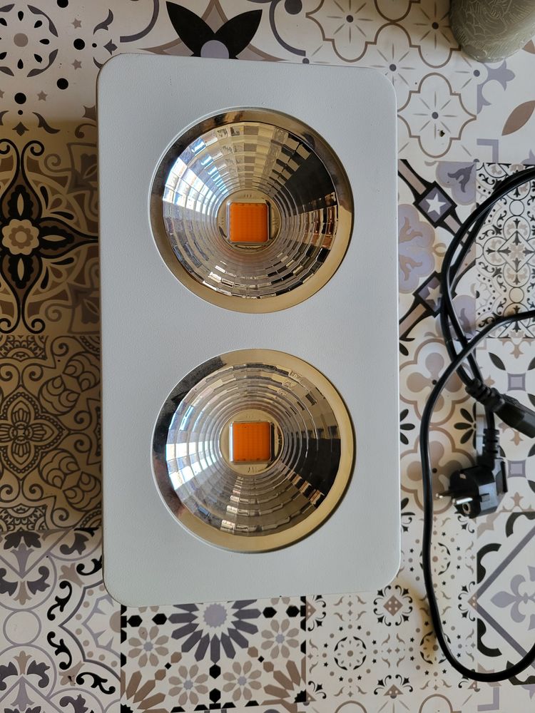 Lampe horticole 80 Montier-en-Der (52)