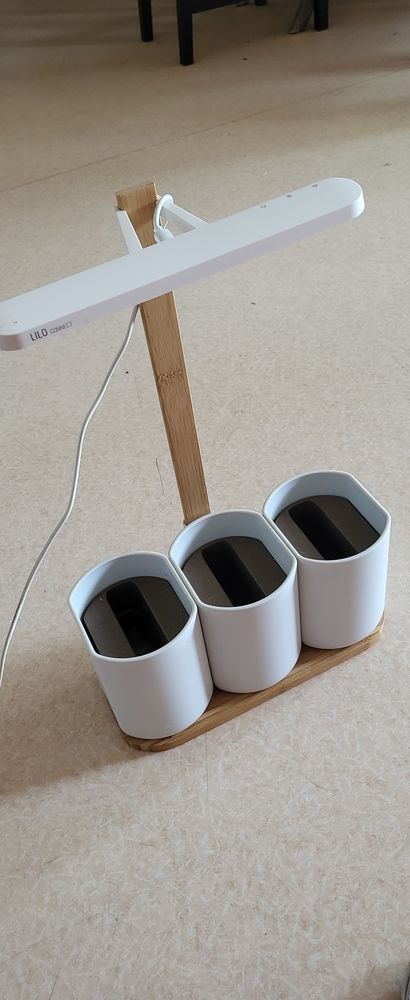 Lampe lilo plantes aromatiques 25 Aix-les-Bains (73)