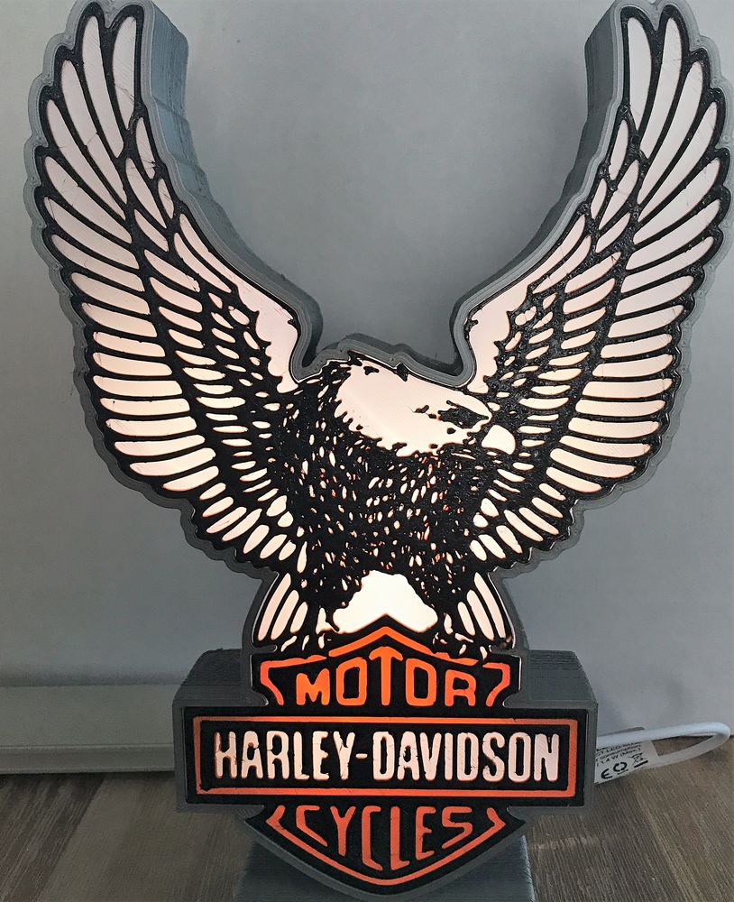 Lampe logo AIGLE HARLEY �clairage led � piles 29 Clermont-Ferrand (63)